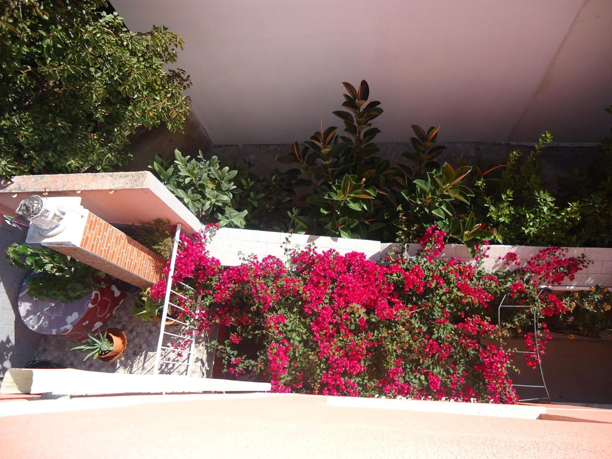 Hotel Aviz Figueira da Foz Luaran gambar